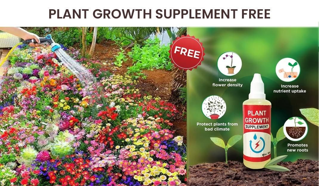 🌸 Varieties of Flower Seeds (Pack of 100) + Free Plant Growth Supplement 🌸