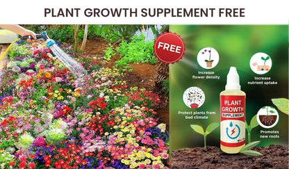 🌸 Varieties of Flower Seeds (Pack of 100) + Free Plant Growth Supplement 🌸