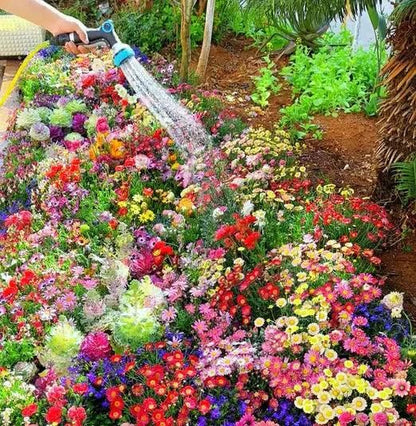 🌸 Varieties of Flower Seeds (Pack of 100) + Free Plant Growth Supplement 🌸