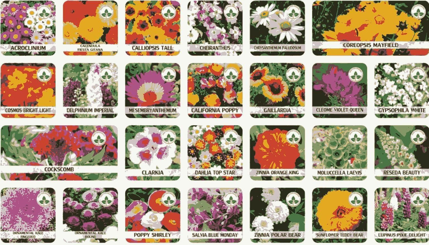 🌸 Varieties of Flower Seeds (Pack of 100) + Free Plant Growth Supplement 🌸